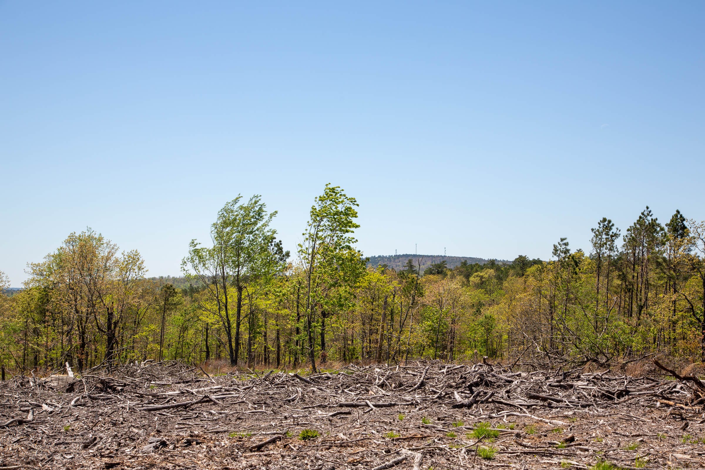 Eagle’s Nest Tract 6 photo 4