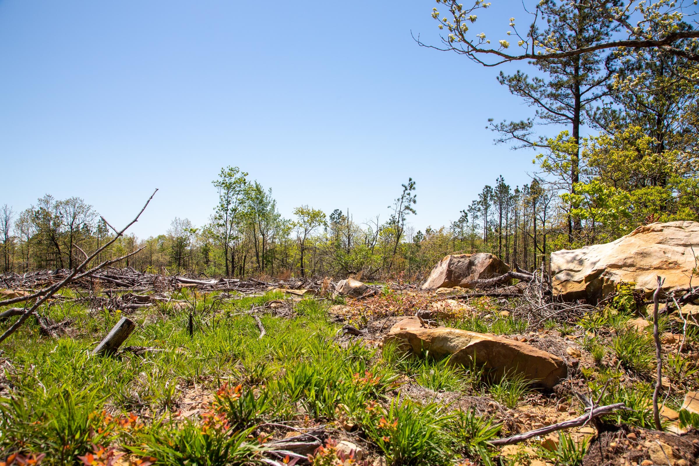 Eagle’s Nest Tract 6 photo 6