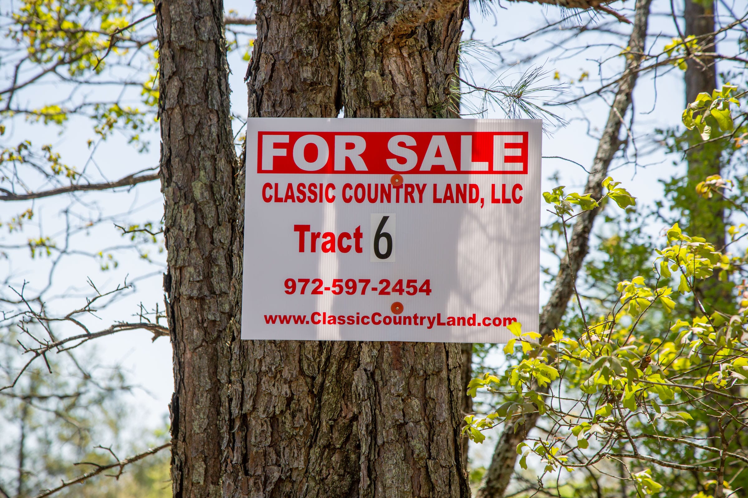 Eagle’s Nest Tract 6 photo 1