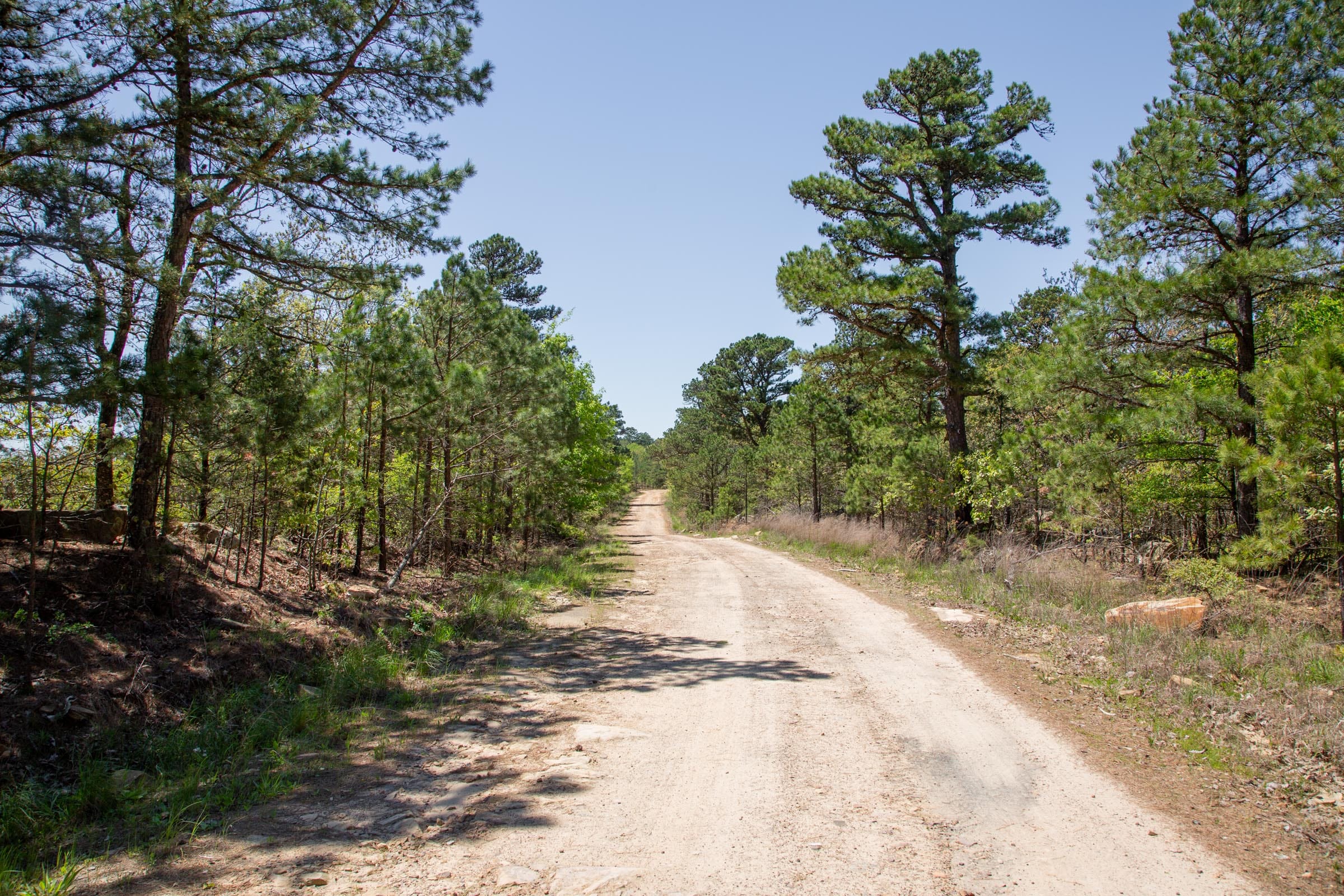 Eagle’s Nest Tract 6 photo 7