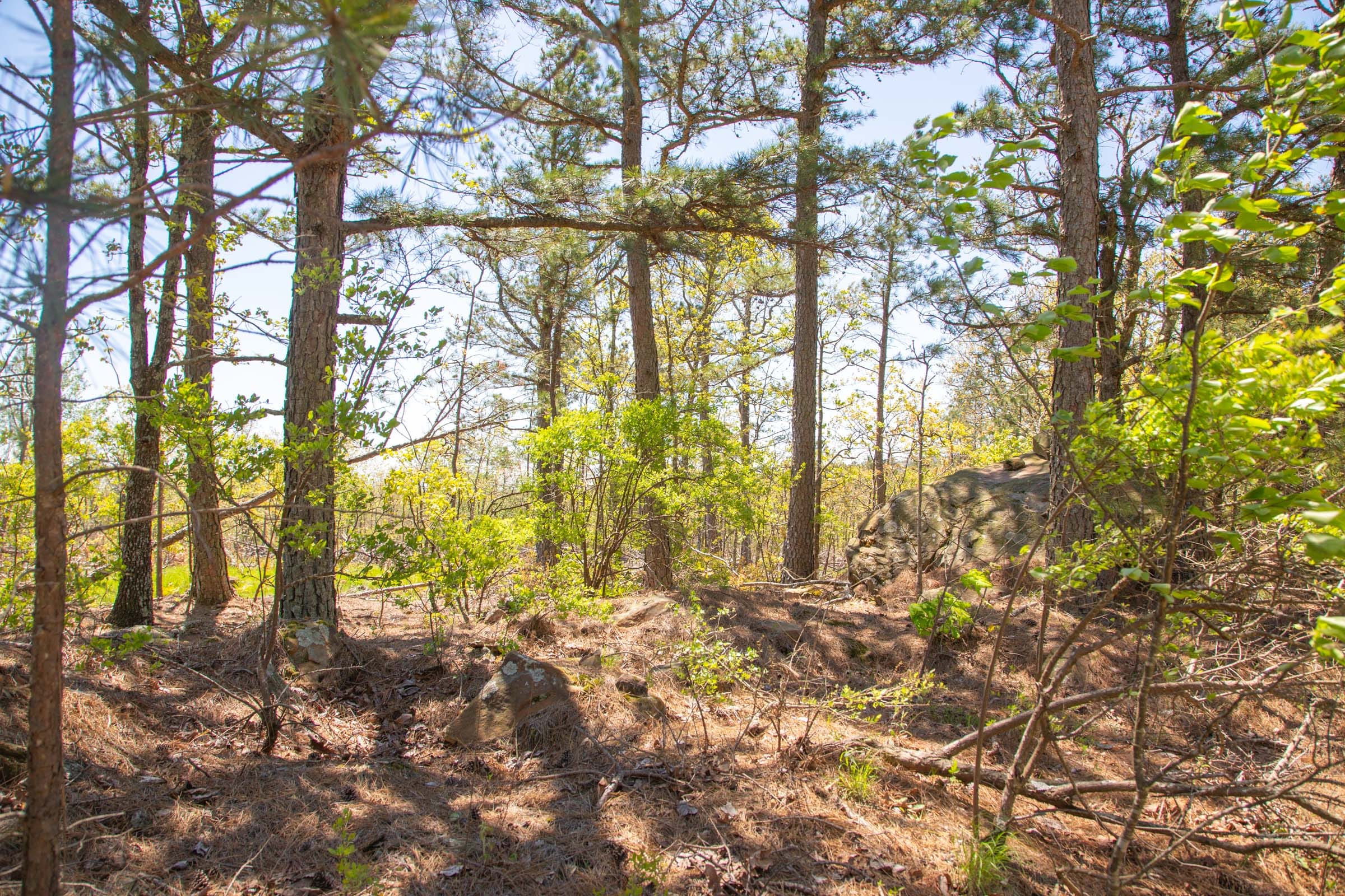 Eagle’s Nest Tract 6 photo 8