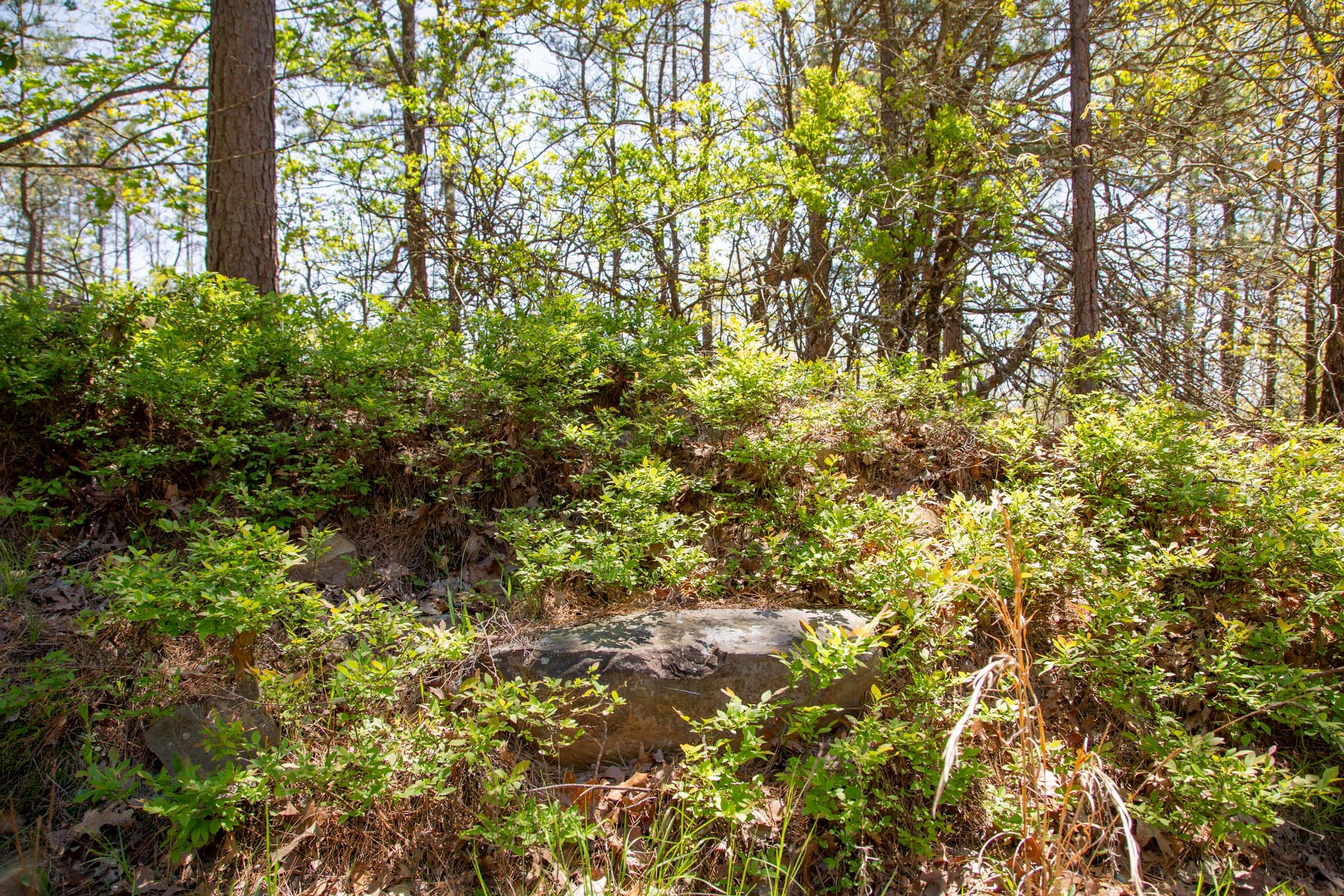 Eagle’s Nest Tract 6 photo 10