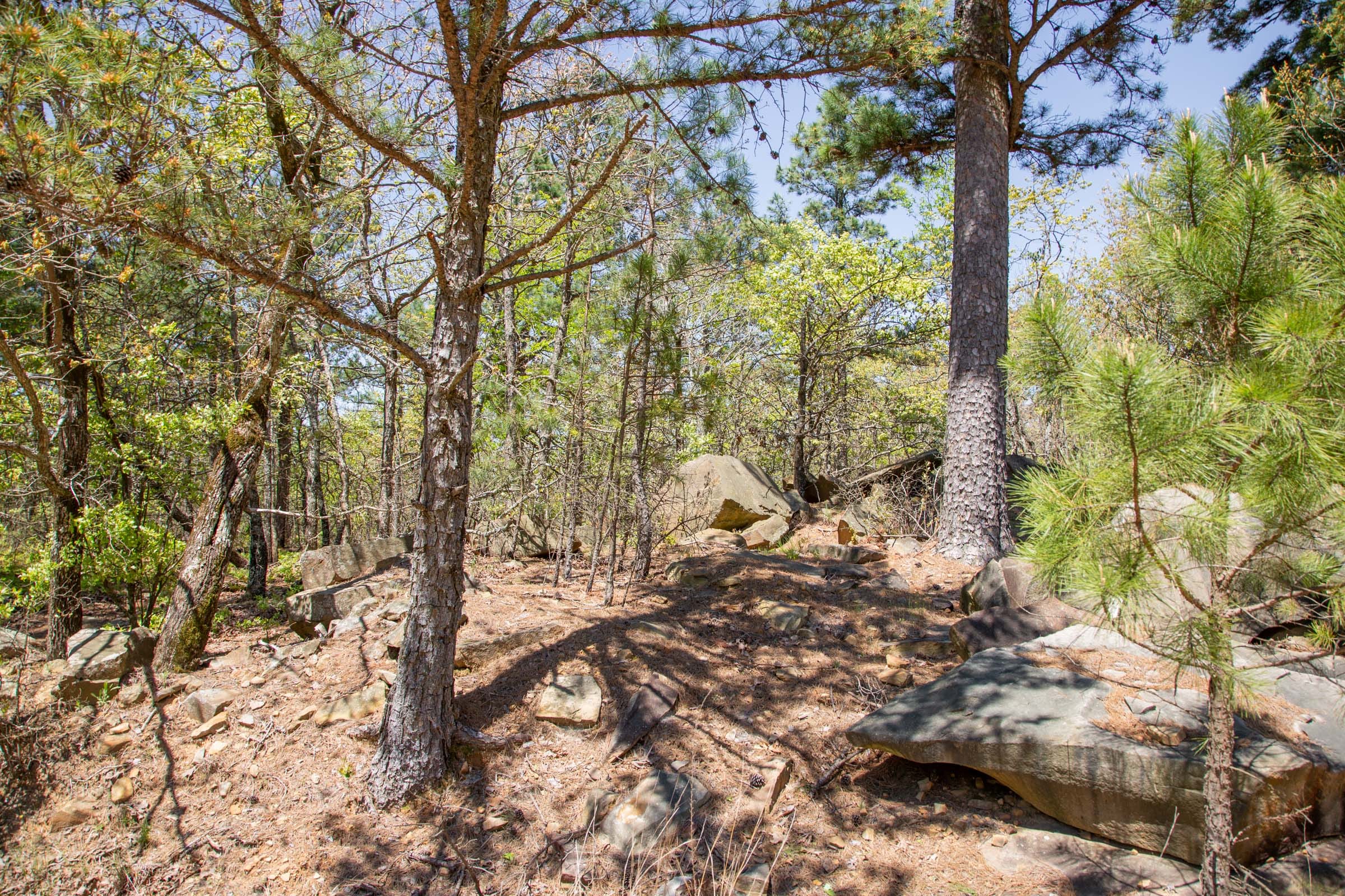 Eagle’s Nest Tract 6 photo 11