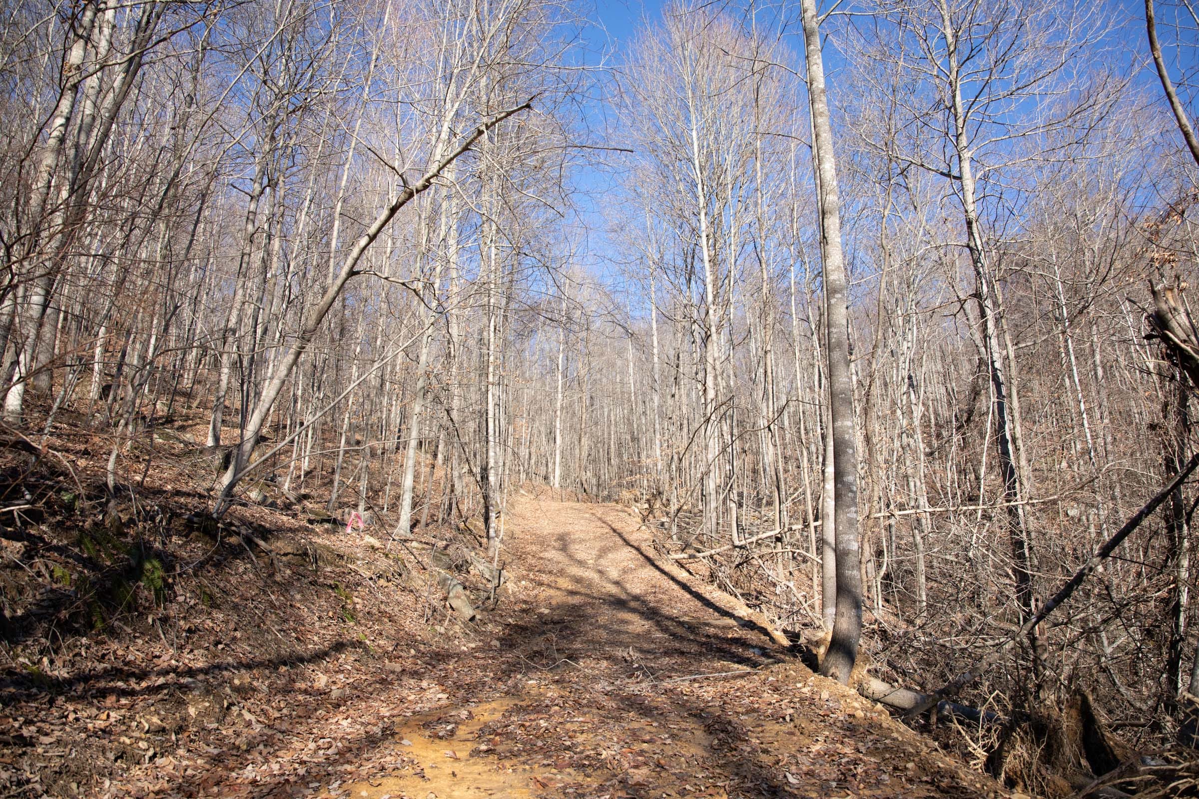 Blackstone Mountain Phase I Tract 48 photo 1