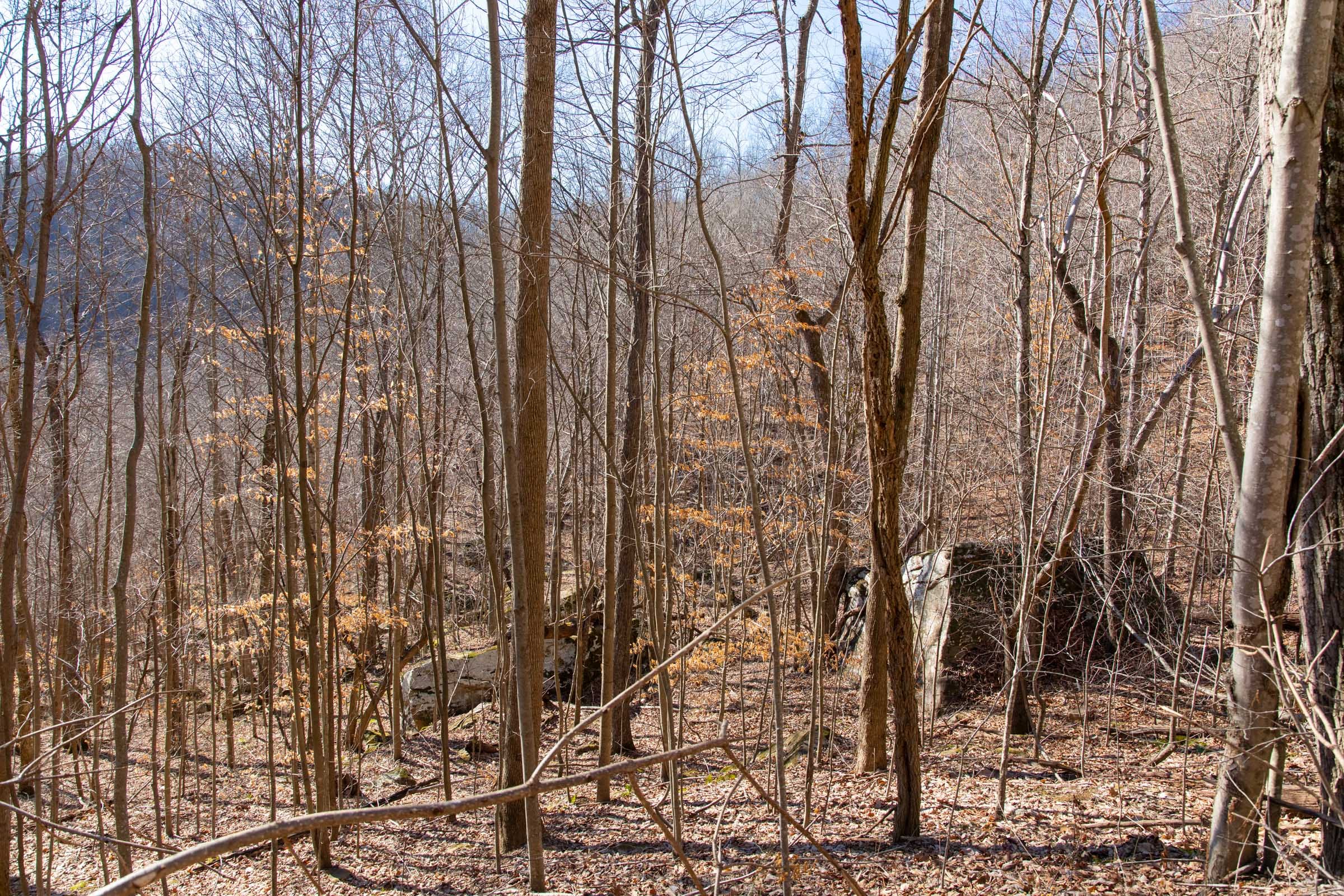 Blackstone Mountain Phase I Tract 48 photo 7