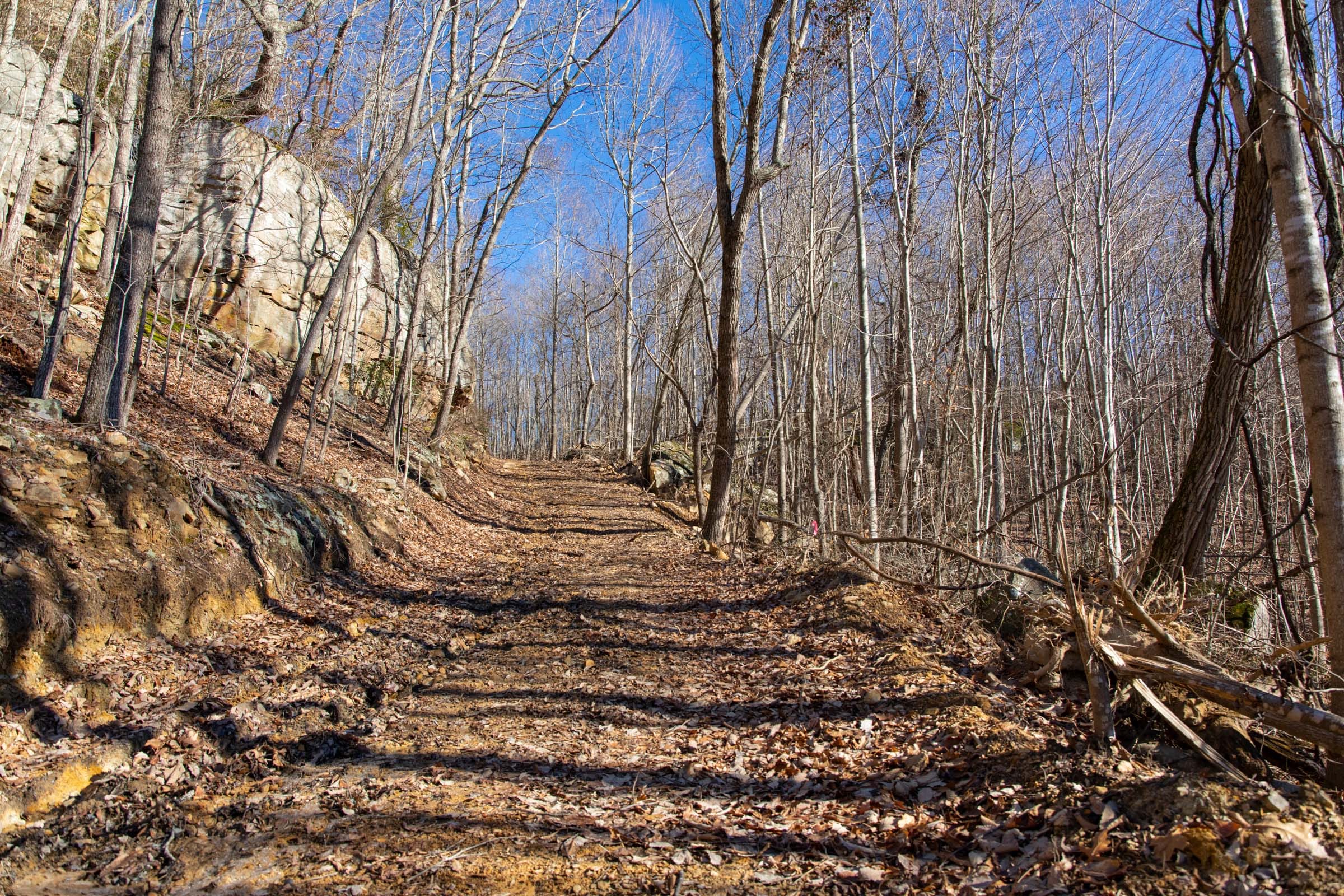 Blackstone Mountain Phase I Tract 48 photo 8