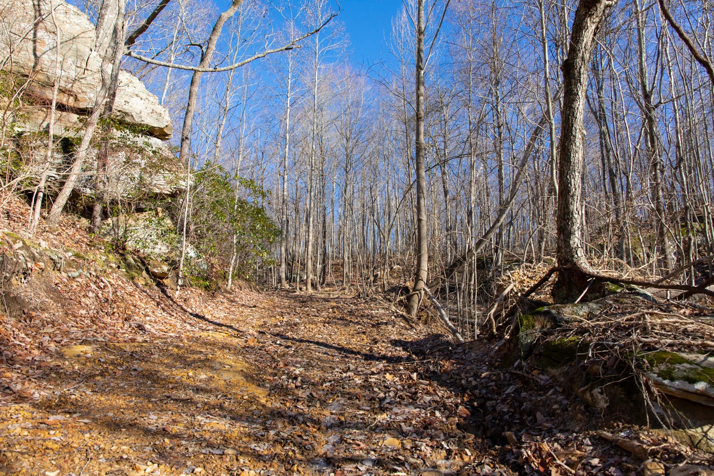 Blackstone Mountain Phase I Tract 48 photo 10