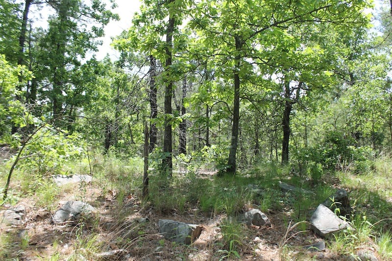 Indian Ridge – Phase II Tract 32 photo 3