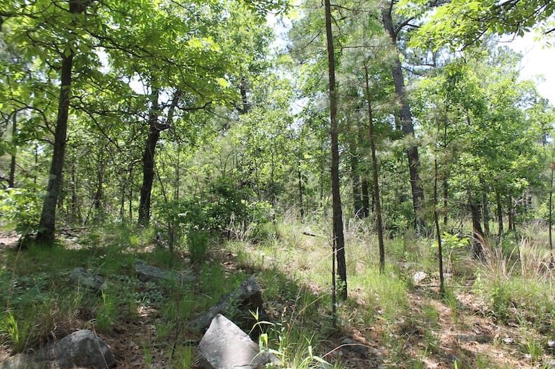 Indian Ridge – Phase II Tract 32 photo 4