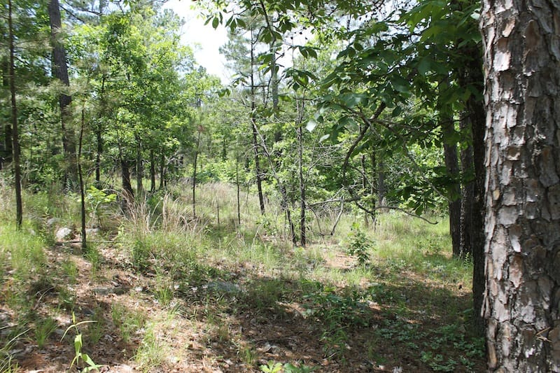 Indian Ridge – Phase II Tract 32 photo 5