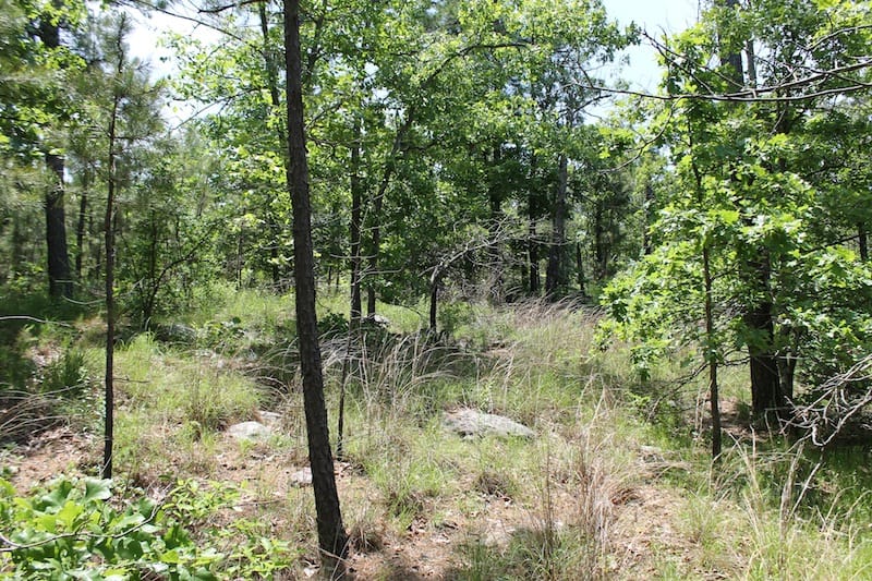 Indian Ridge – Phase II Tract 32 photo 7