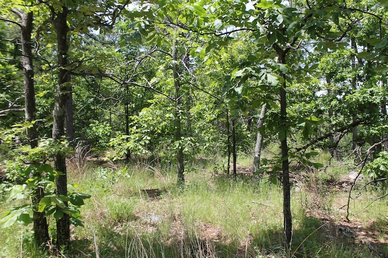 Indian Ridge – Phase II Tract 32 photo 8
