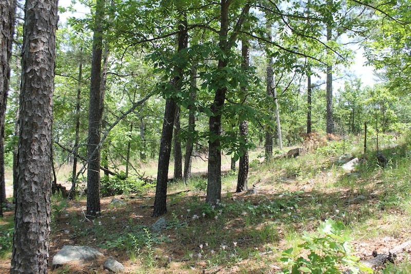 Indian Ridge – Phase II Tract 32 photo 9