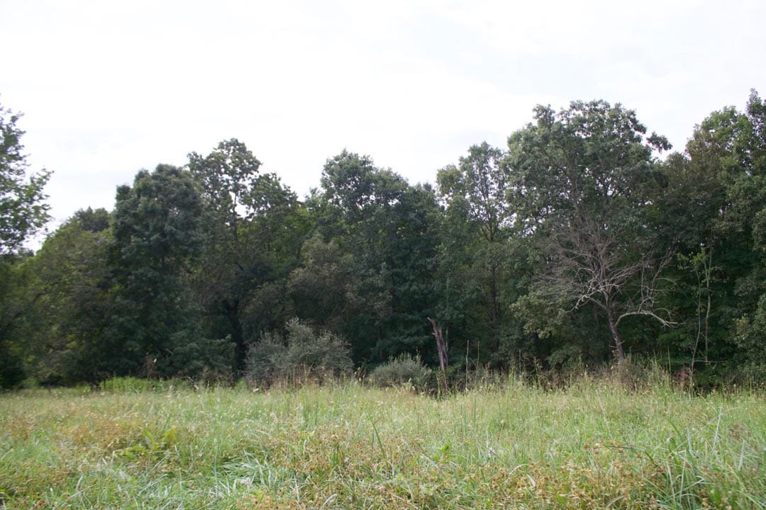 Heritage Hollow Tract 28 photo 2