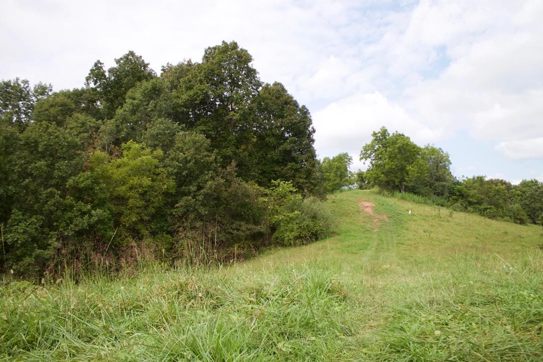 Heritage Hollow Tract 28 photo 3