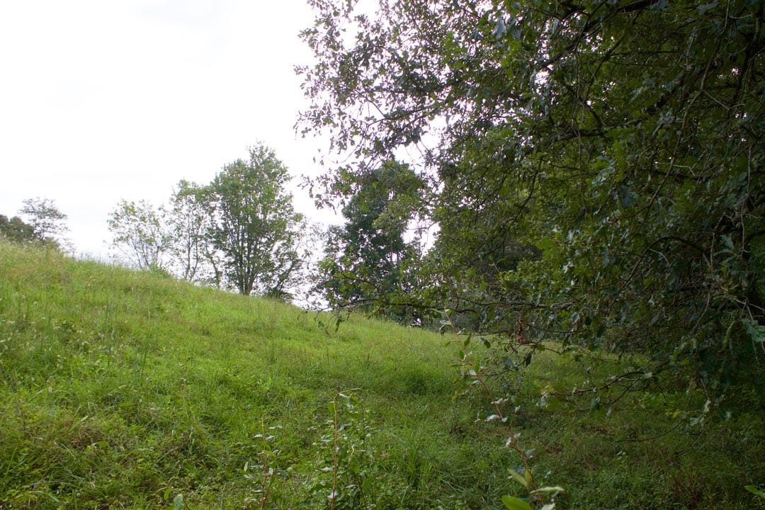 Heritage Hollow Tract 28 photo 6
