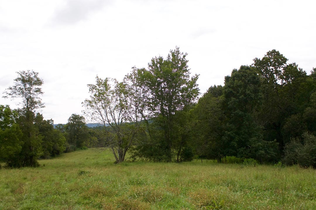 Heritage Hollow Tract 28 photo 7
