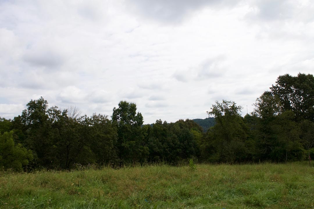 Heritage Hollow Tract 28 photo 8