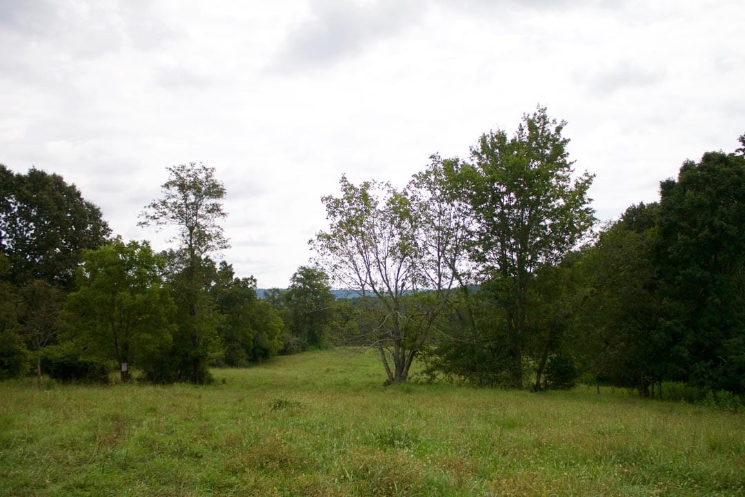 Heritage Hollow Tract 28 photo 9