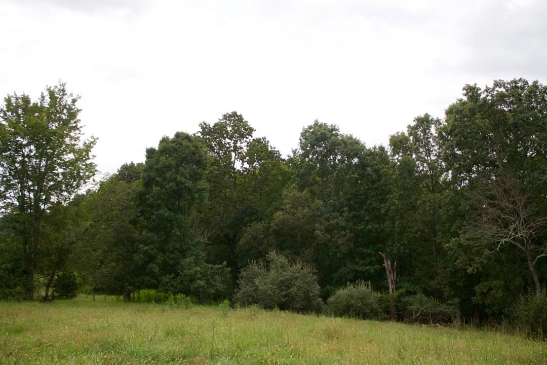 Heritage Hollow Tract 28 photo 10