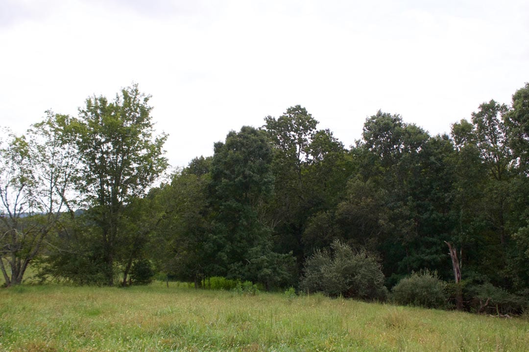 Heritage Hollow Tract 28 photo 11