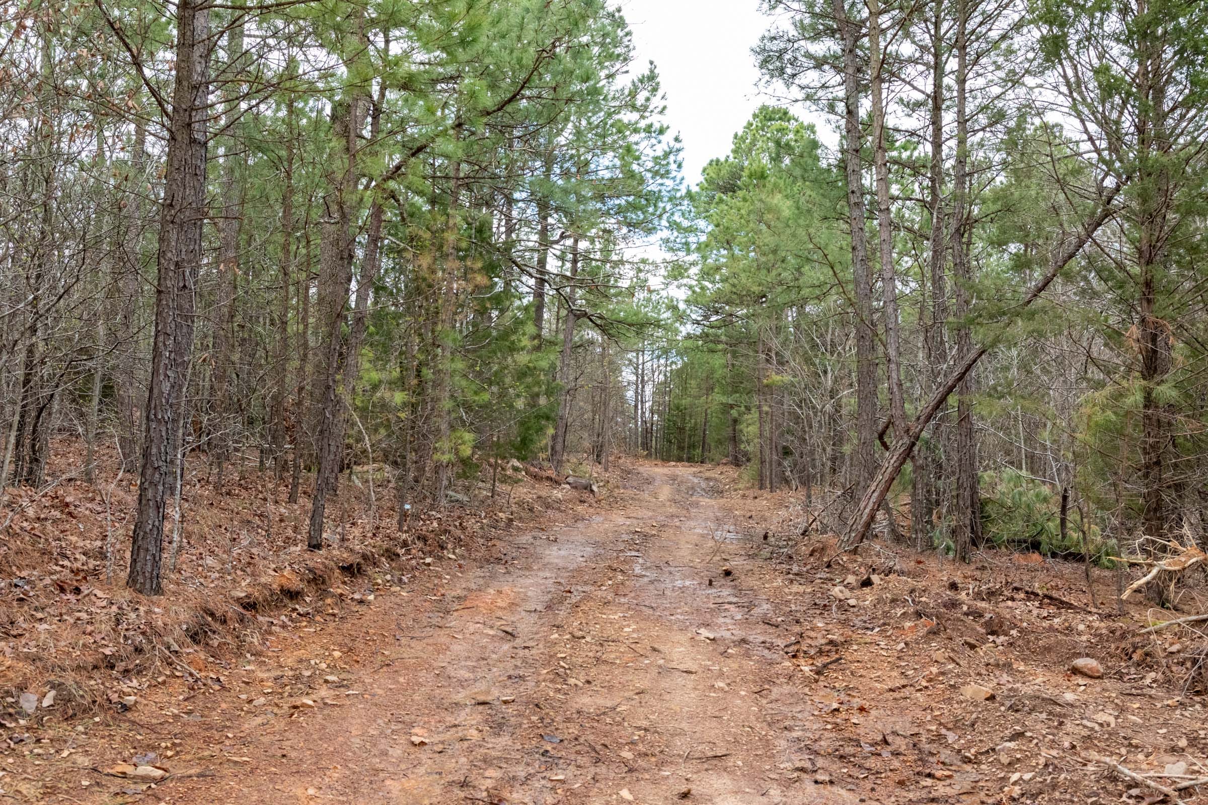 Stone Bridge Phase III Tract 204 photo 1
