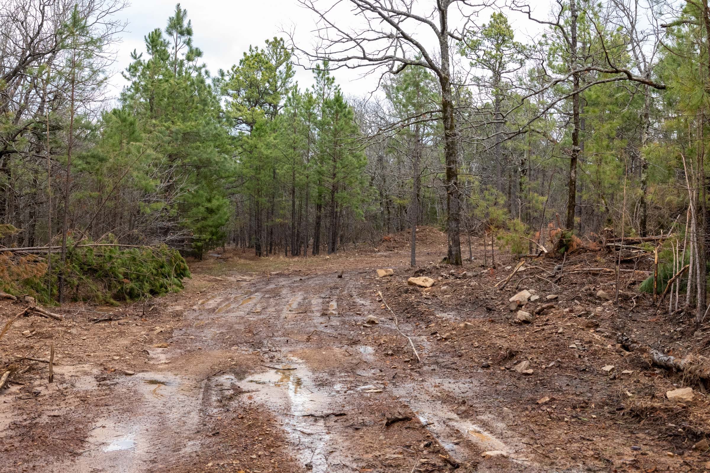 Stone Bridge Phase III Tract 204 photo 2