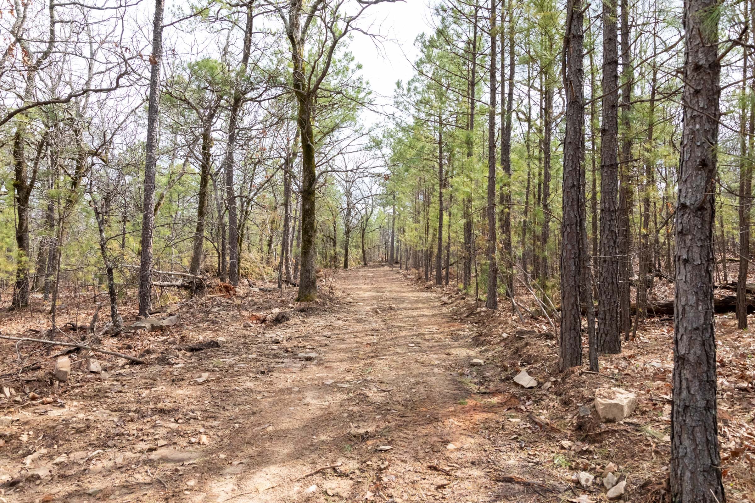 Stone Bridge Phase III Tract 204 photo 11