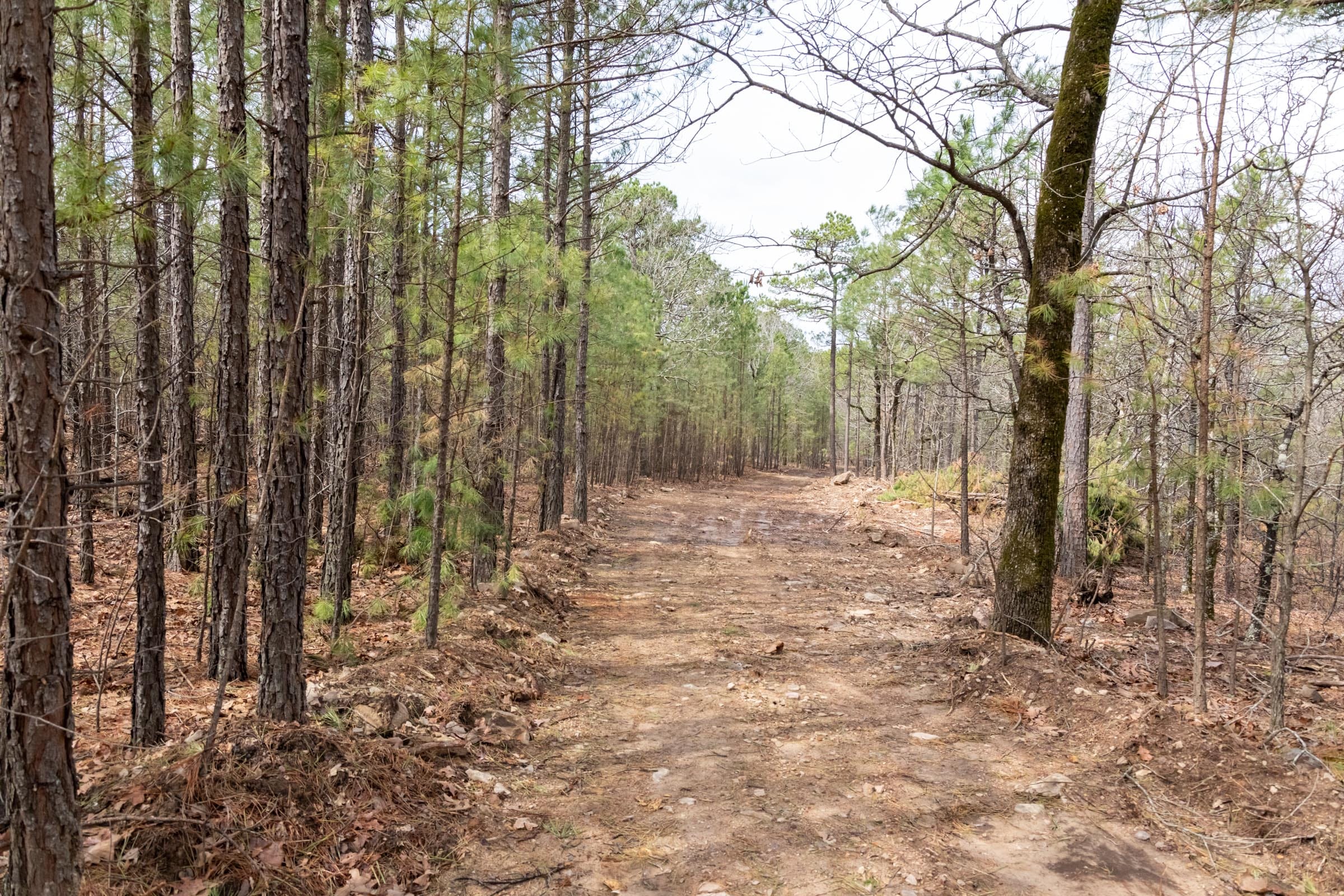 Stone Bridge Phase III Tract 204 photo 12