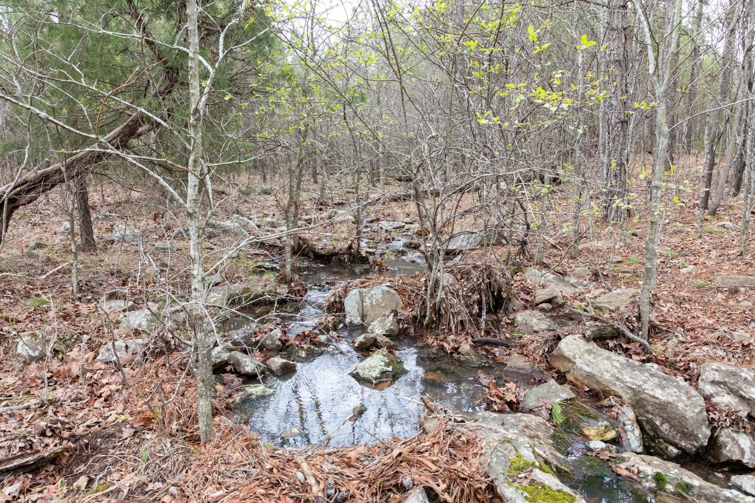 Stone Bridge Phase III Tract 204 photo 13