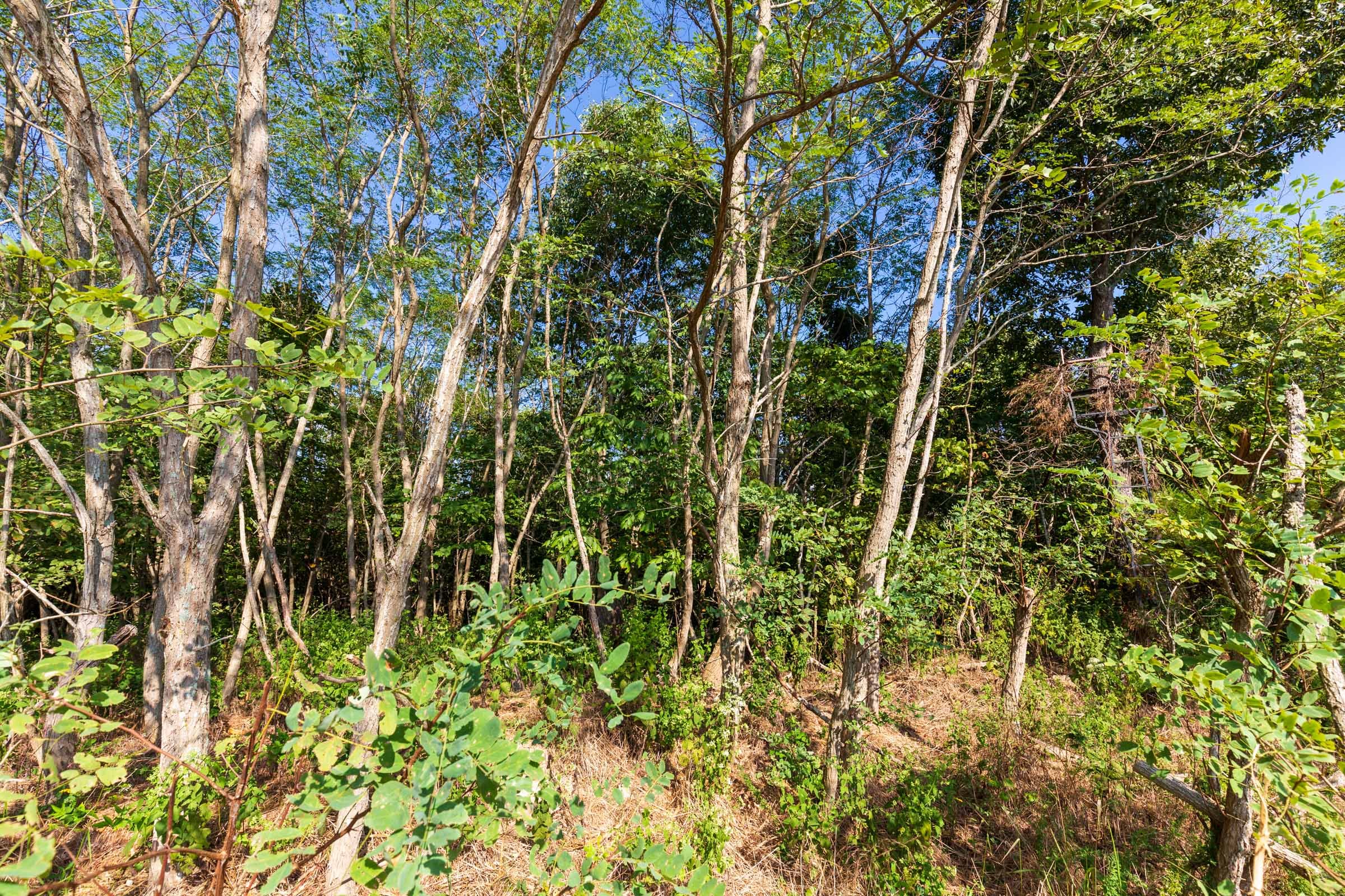 Redemption Ridge Tract 3 photo 2