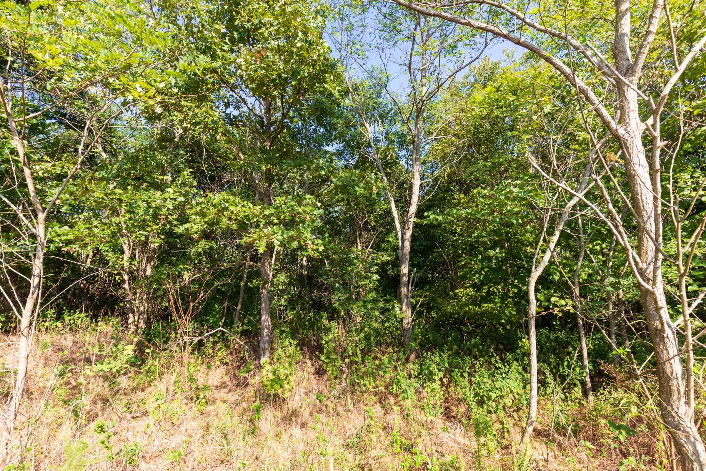 Redemption Ridge Tract 3 photo 3