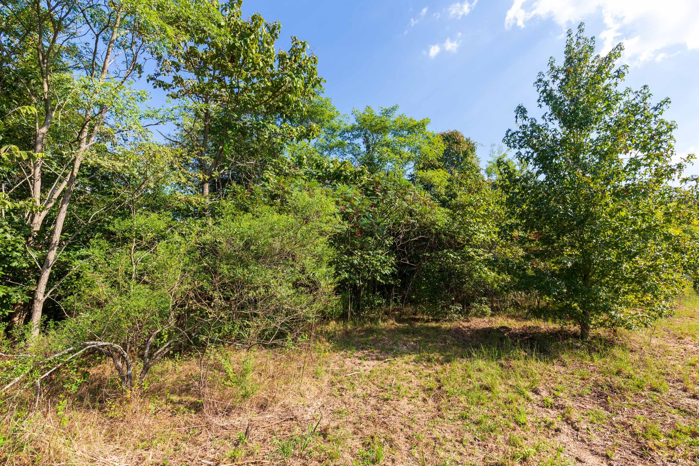 Redemption Ridge Tract 3 photo 4