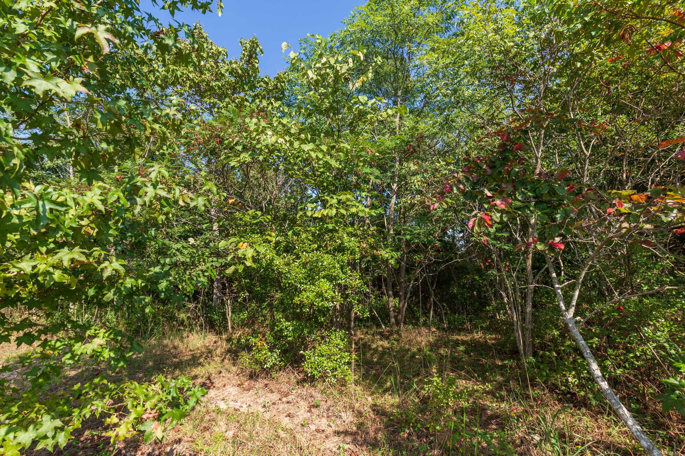 Redemption Ridge Tract 3 photo 5