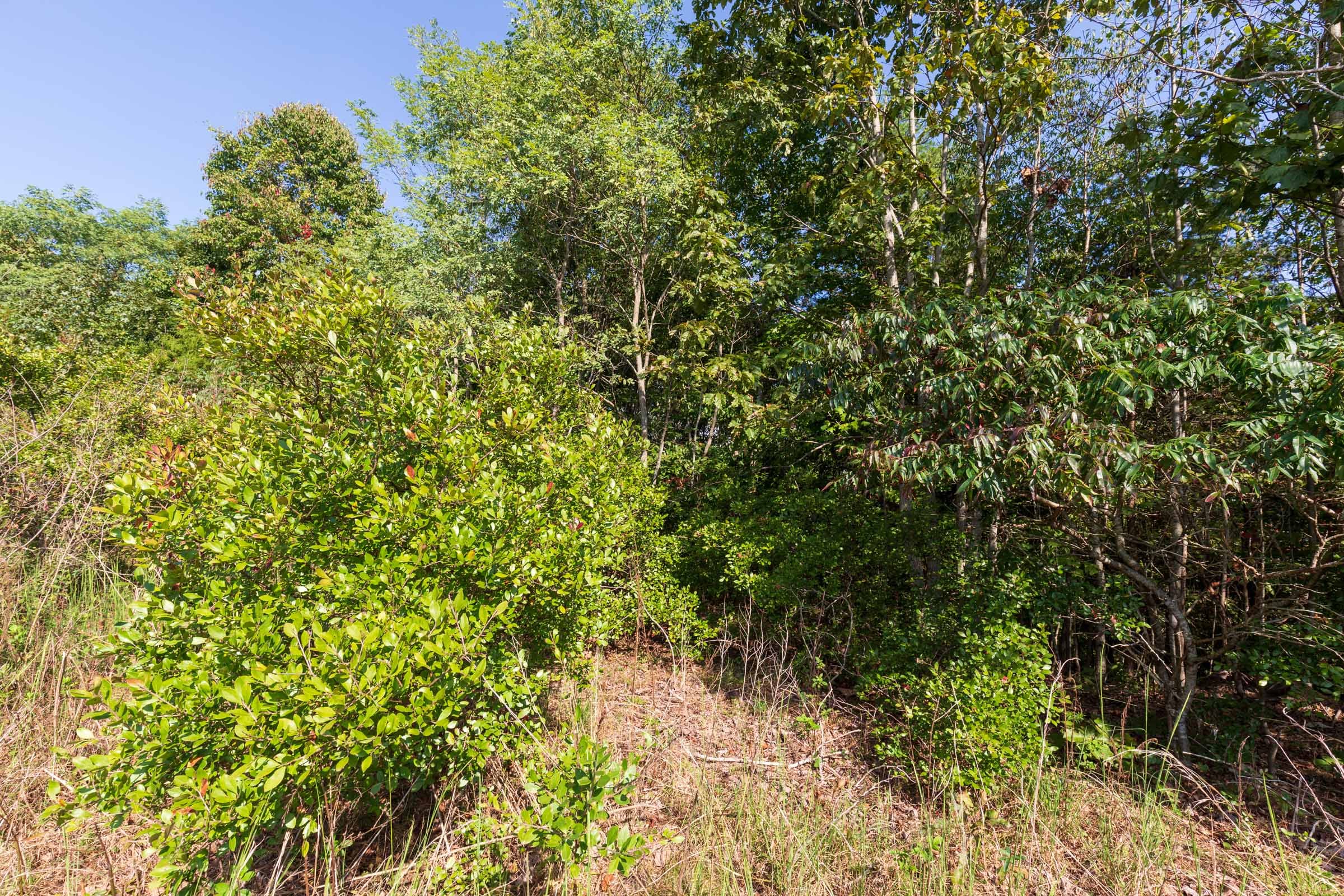 Redemption Ridge Tract 3 photo 7