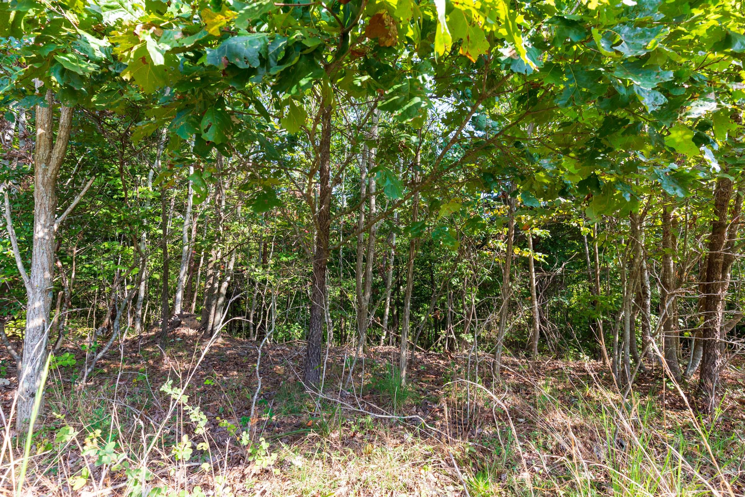 Redemption Ridge Tract 3 photo 8