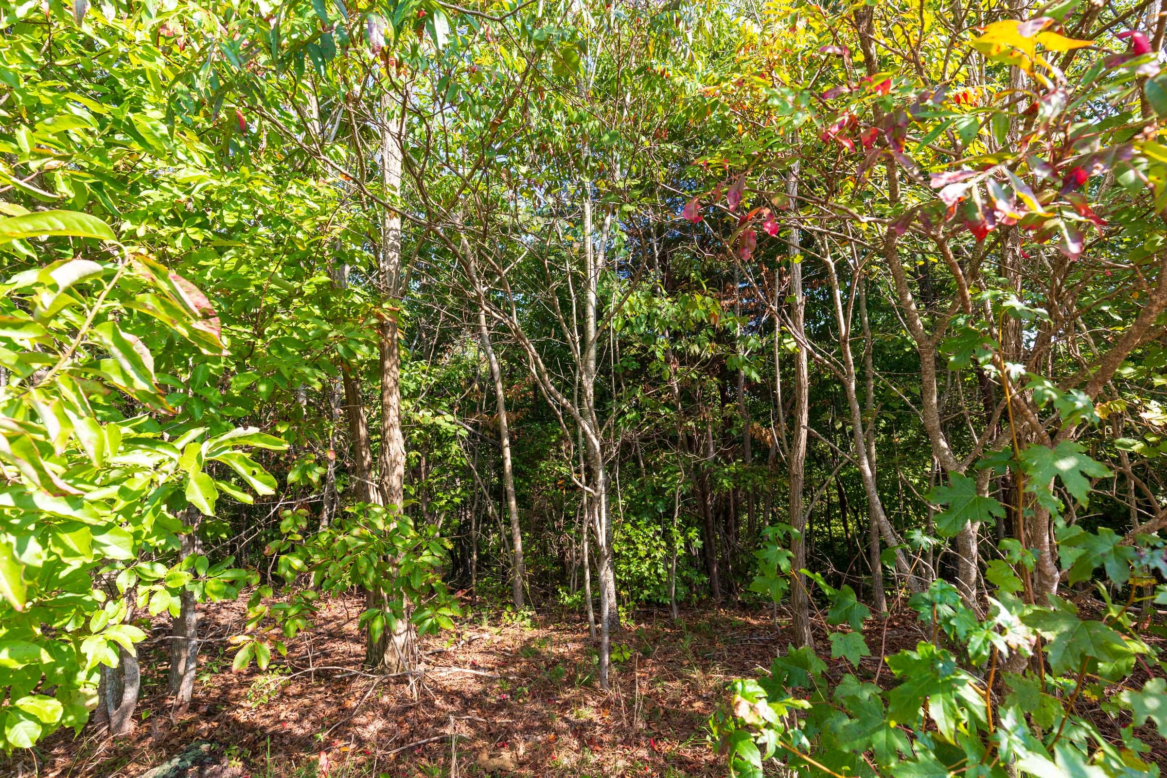 Redemption Ridge Tract 3 photo 9