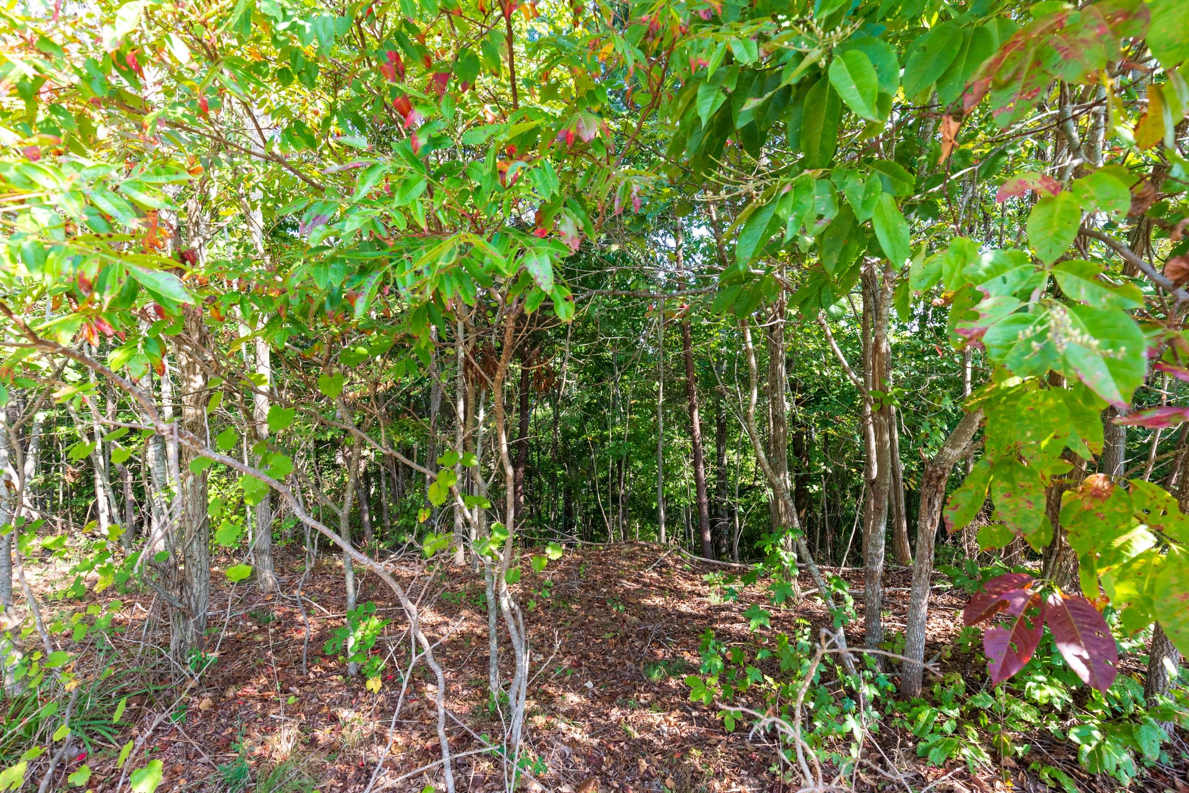 Redemption Ridge Tract 3 photo 10