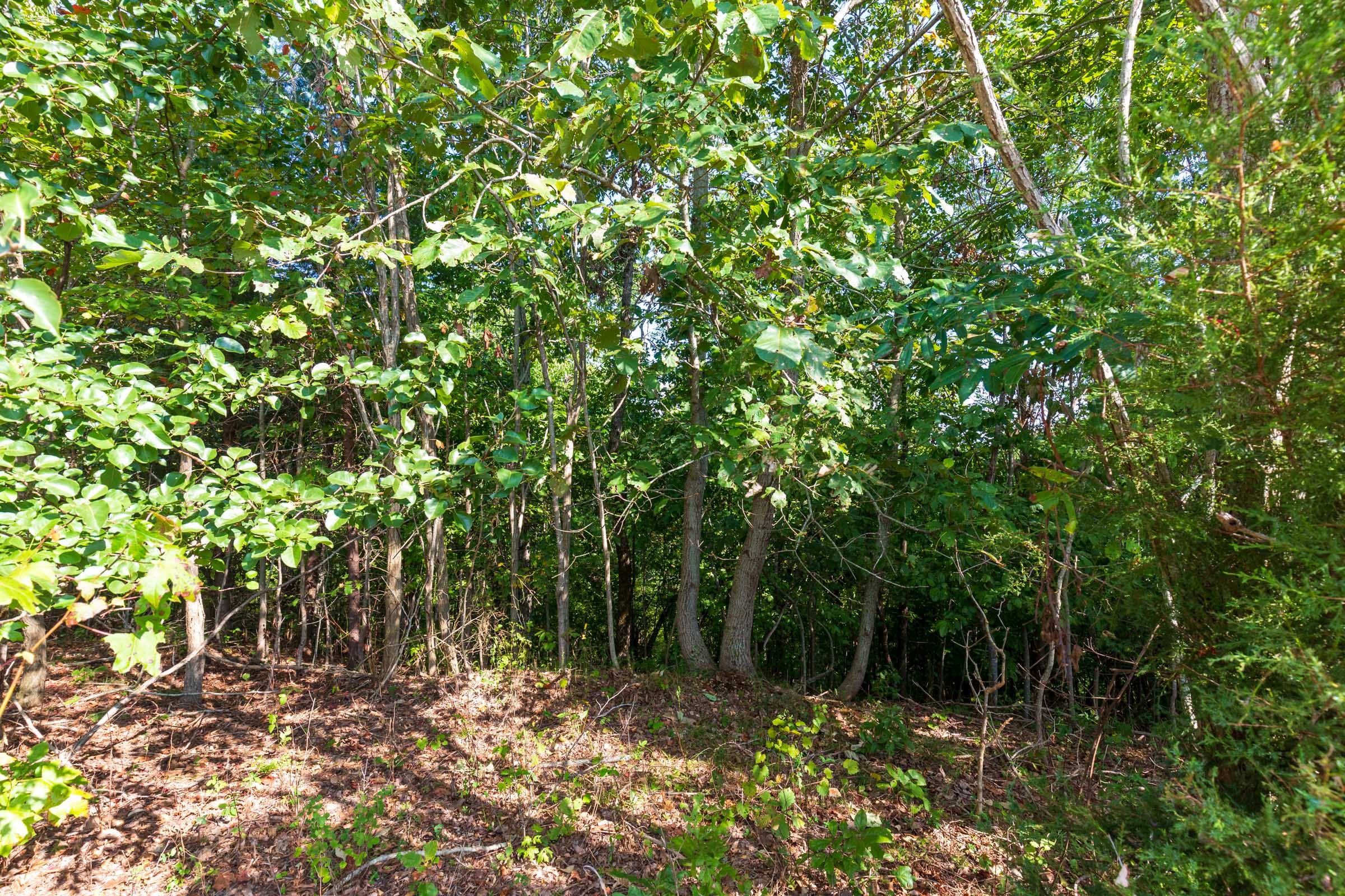 Redemption Ridge Tract 3 photo 12