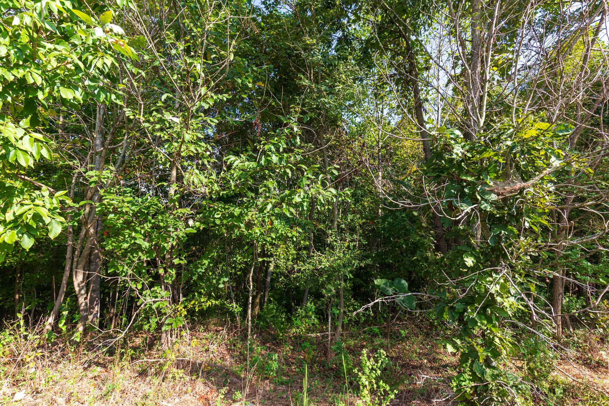 Redemption Ridge Tract 3 photo 14