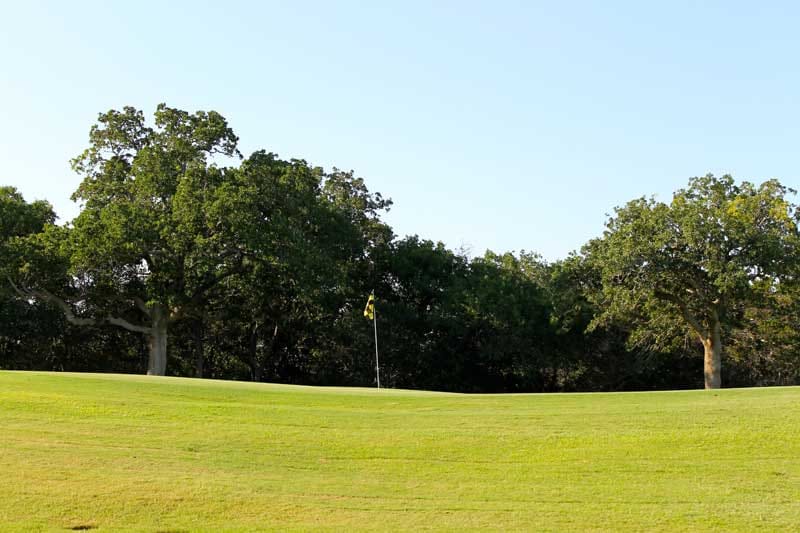 Tahitian Village Tract 661 photo 11