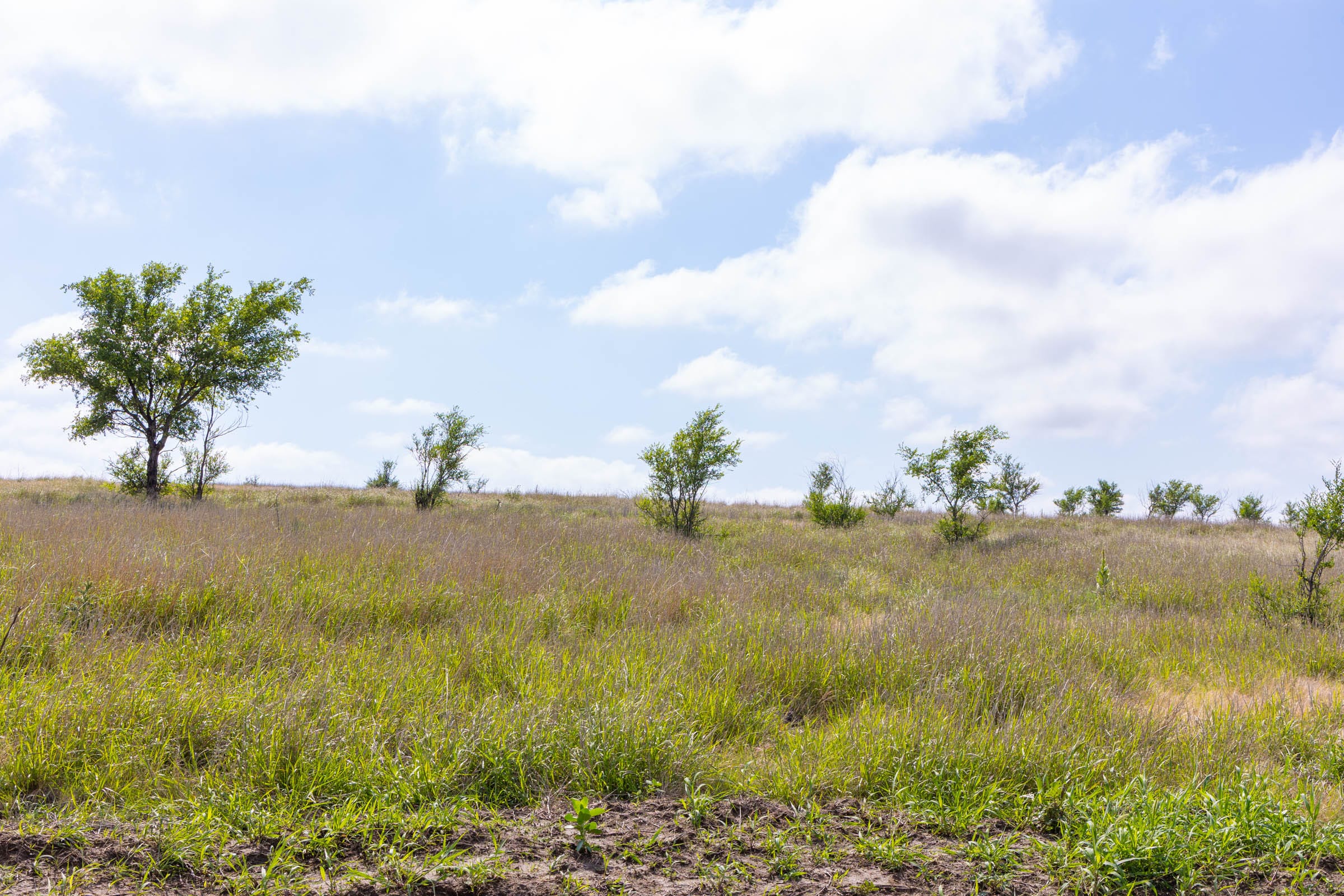 Crandall's Corner Tract 8 photo 5