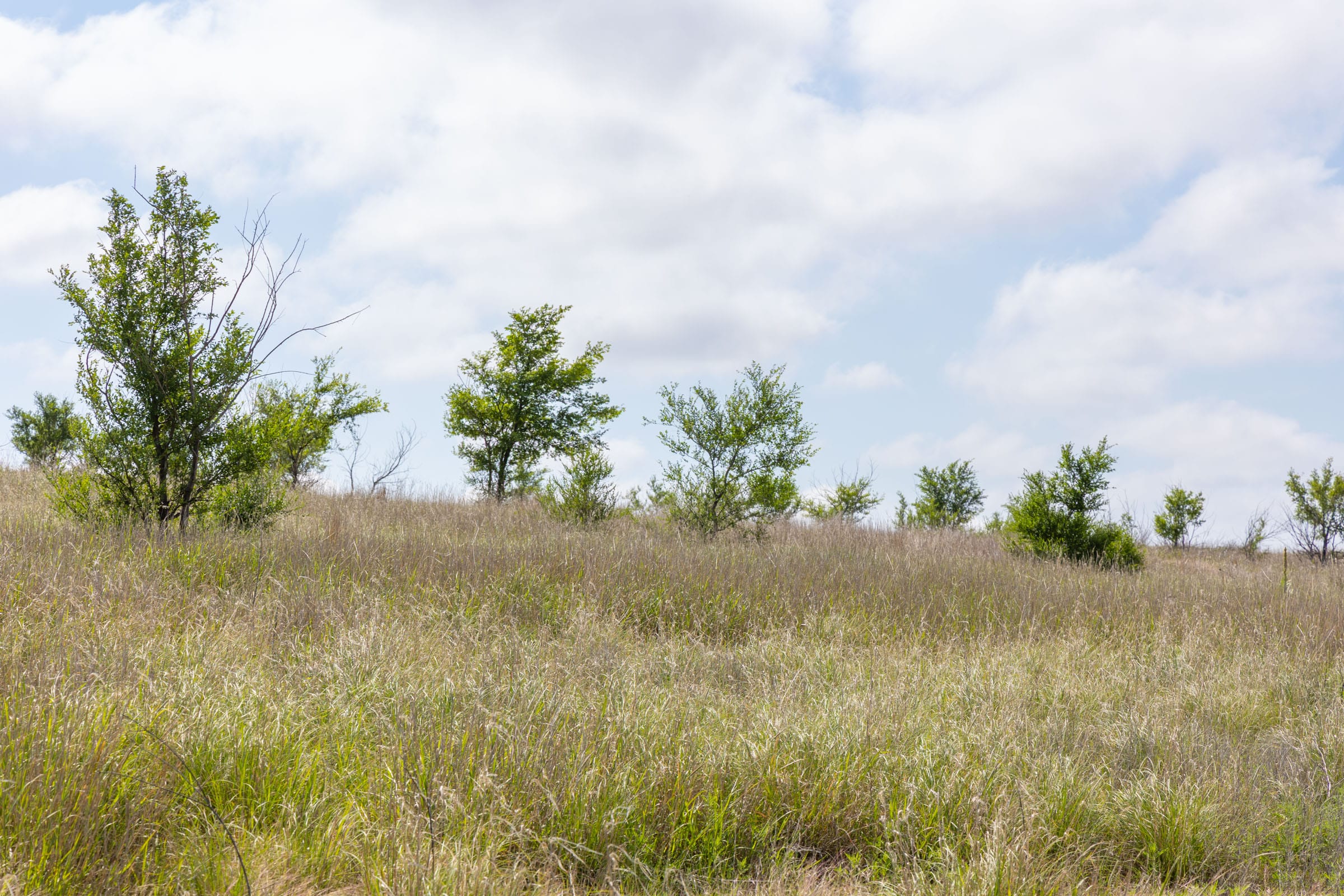 Crandall's Corner Tract 8 photo 7