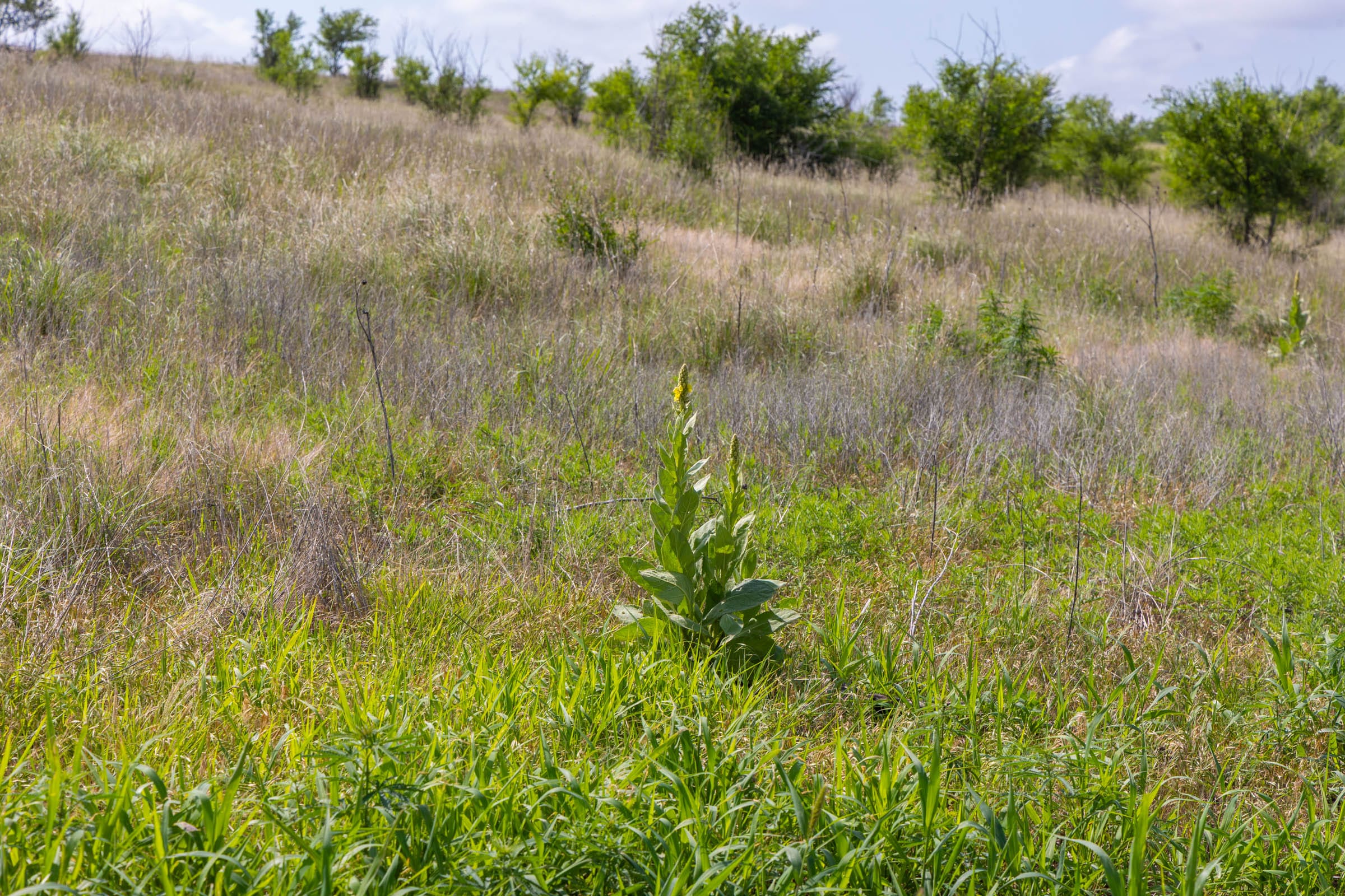 Crandall's Corner Tract 8 photo 10