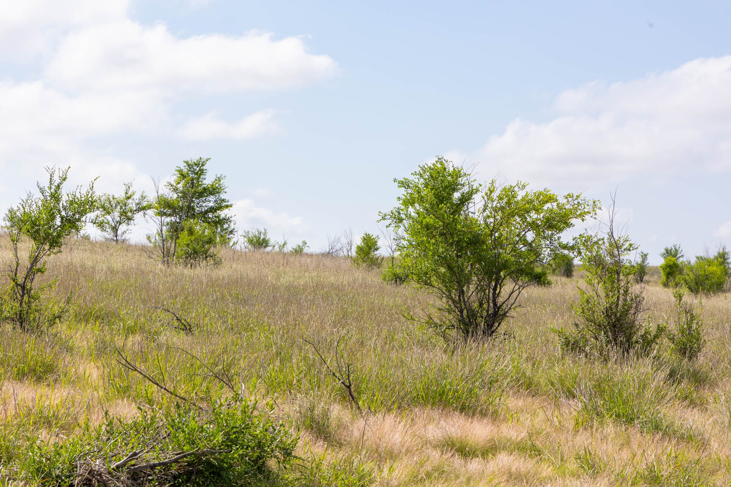 Crandall's Corner Tract 8 photo 9
