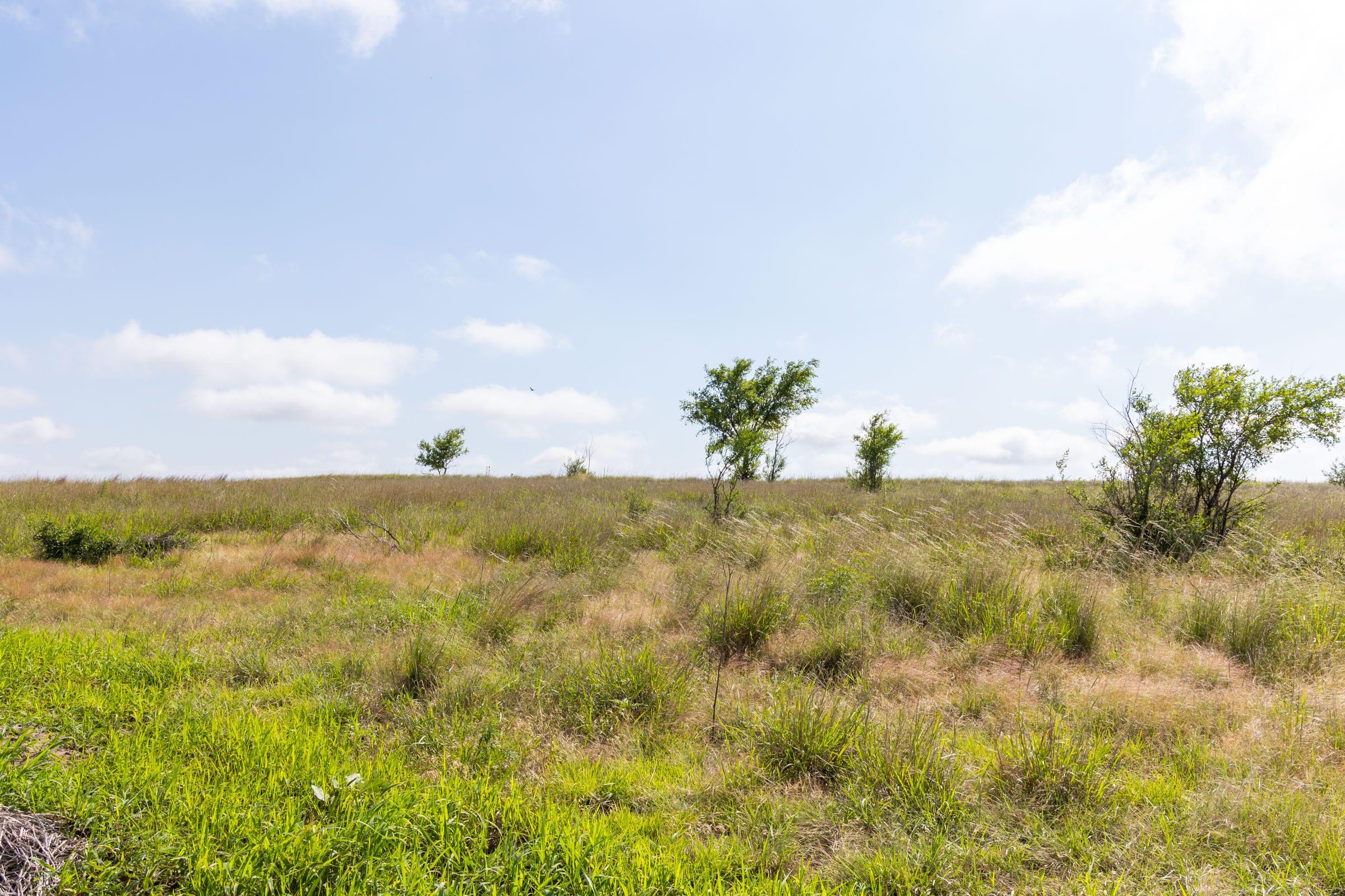 Crandall's Corner Tract 8 photo 6