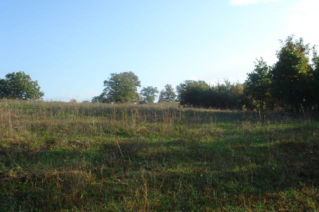 Valley View Ranch Tract 4 photo 3