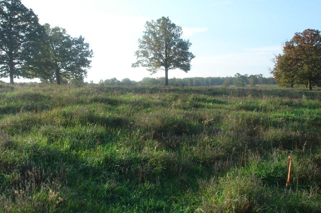 Valley View Ranch Tract 4 photo 4