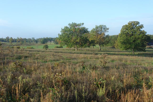 Valley View Ranch Tract 4 photo 5