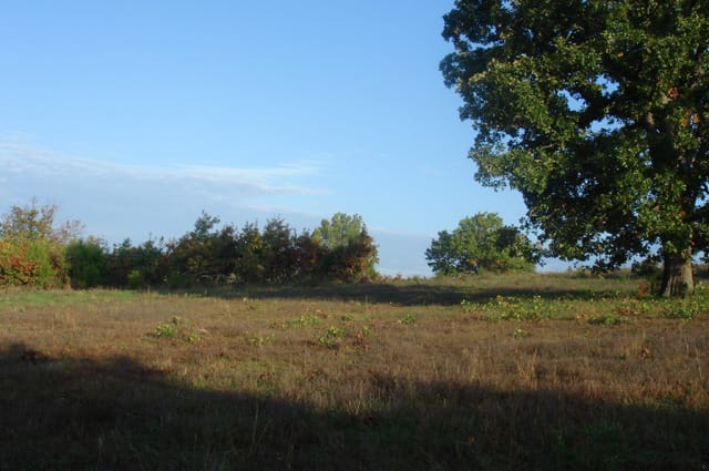 Valley View Ranch Tract 4 photo 6